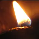李指金