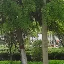 我的乐园