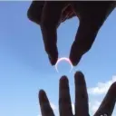 ♪♪梧桐仁柳♪♪