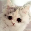 ~渺虚~