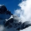 霸道再现