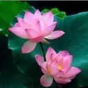❤ゞ上官メ真人❤ゞ