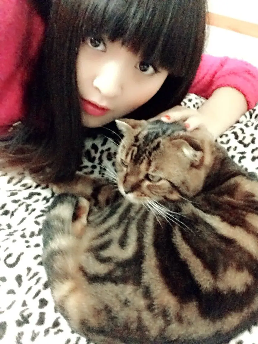 ◕‿-｡艾猫儿的主播照片