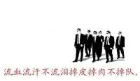 東北少帥的主播照片