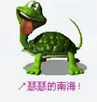 🌺最美的主播照片