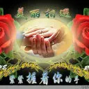 广东将军