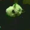 你我只如初见
