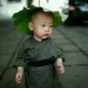 韩心v