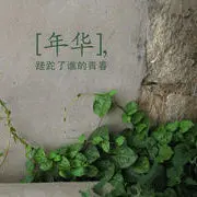 哥不是传说j