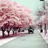 俄、累了么
