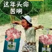 ╰丶◇◆丶￡小胖