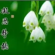伤心的网络放不下的缘