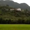 云托心飞翔