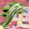 天涯哥哥￥