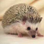 ☜じ☆ve莼牛乃☞