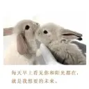 骑着乌龟逮兔子03ikns
