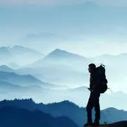 任意行去