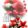 好人一生平安tq