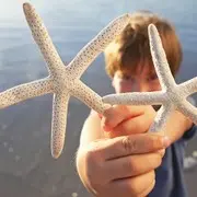 ☞天天☜♞想你