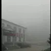玩儿世不恭@