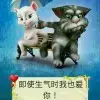 山上的野花