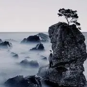 某某℡