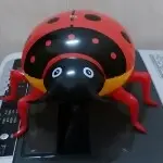 義家軍如雨