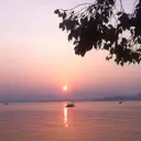【【不离不弃】】