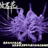 等待～1r