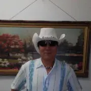 墨镜老槐树