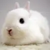 半云￥@牛妞