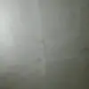 太子爷i
