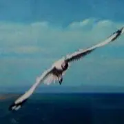 *沫沫*.