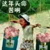 张健租凭公司