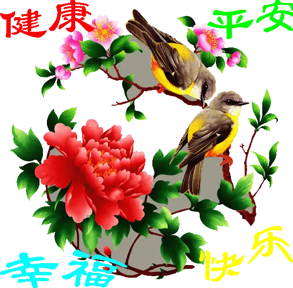 《忘忧草》@的主播照片