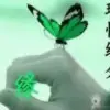 拒看连麦