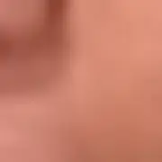ღ小绵羊咩咩