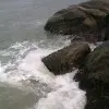 海鸭!