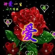 珍家守护💕
