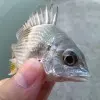 凭足迹开眼界