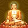 水中仙u