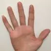 、花开花落花非花