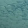 星雨哥哥
