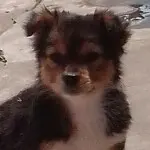 汽球。。