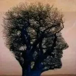 静心修德