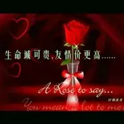 我是你铁杆粉丝