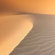 槑过客
