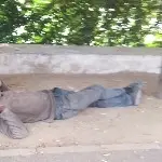 蹦这跳这找主播玩