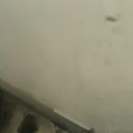 思雨故人