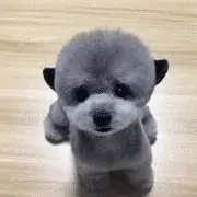 ~一品~